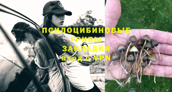 тгк Приозерск