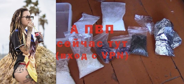 тгк Приозерск